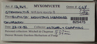Image Associated With the Occurence